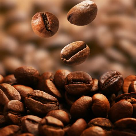 The coffee bean - planbezy