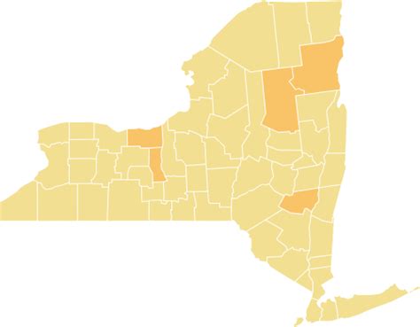 New York Coronavirus Map and Case Count - The New York Times