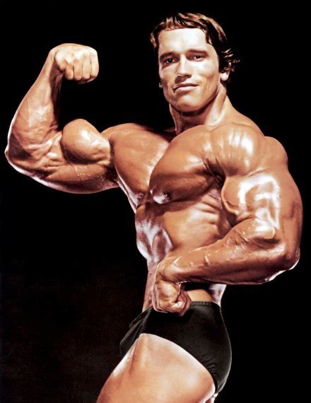 Арнольд Шварценеггер (Arnold Schwarzenegger) Арнольд Шварцнеггер ...