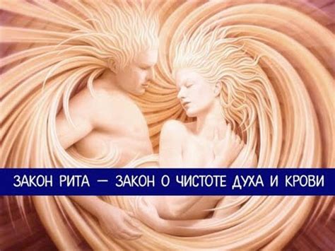 Законы РИТА (телегония) - YouTube