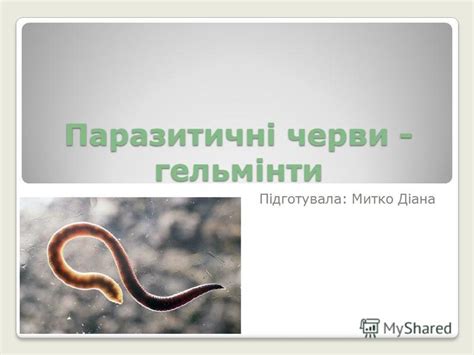 Презентация на тему: "Паразитичні черви - гельмінти ". Скачать ...