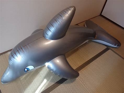 horseplay gray dolphin