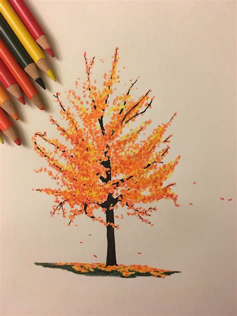 Autumn Tree Drawing Pencil