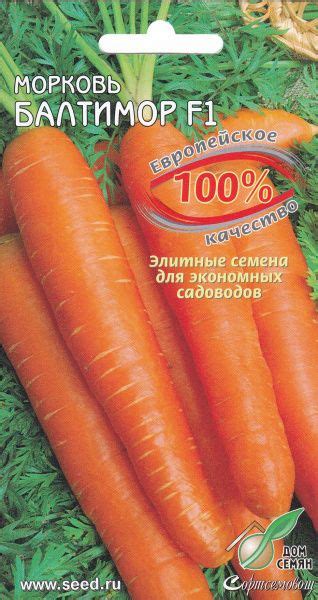 Морковь, Разнообразные овощи Дом Семян Морковь, овощи, различные овощи ...