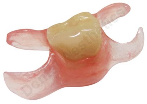 Front Flipper Dental