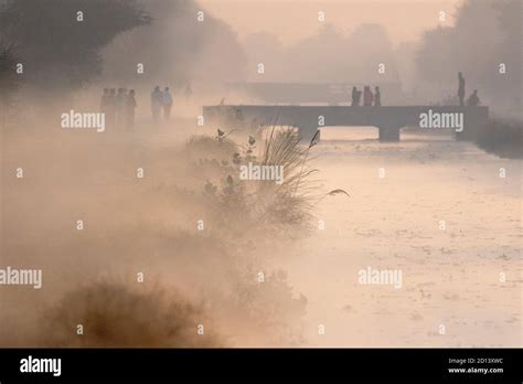 landscapes of rural Punjab , Pakistan Stock Photo - Alamy