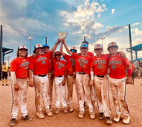 Rawlings Tigers 12U