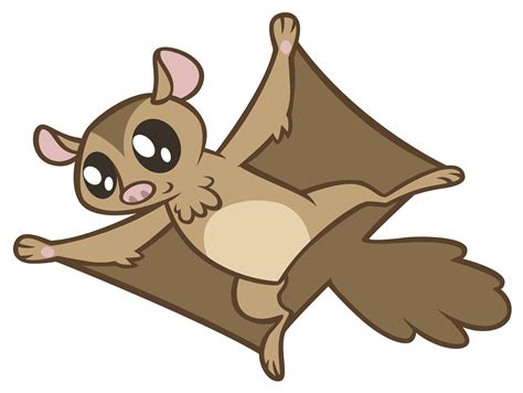 flying squirrel  andoanimalia  deviantart