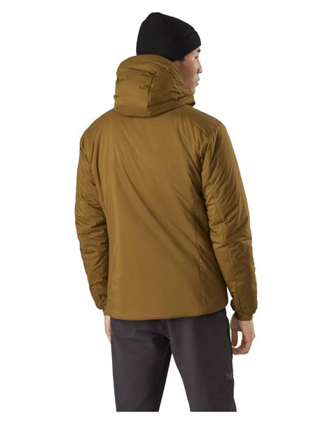 Arc'Teryx Atom AR Hoody Men'S Relic Ski down jackets : Snowleader