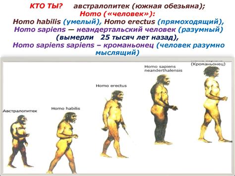 Кто ты. Лекция - online presentation
