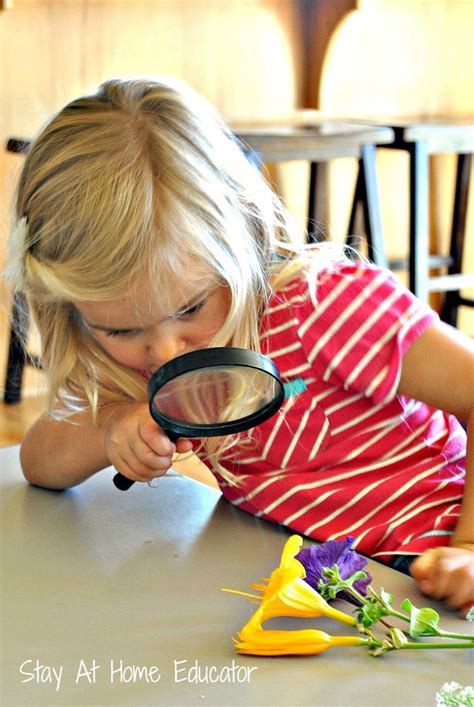 Three Preschool Sense of Sight Activities - Stay At Home Educator ...