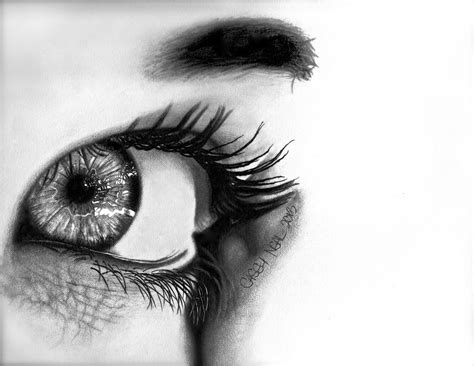 Eye Reflection Drawing at PaintingValley.com | Explore collection of ...