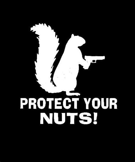 Protect Your Nuts Funny Window Decal Sticker | Custom Made In the USA ...