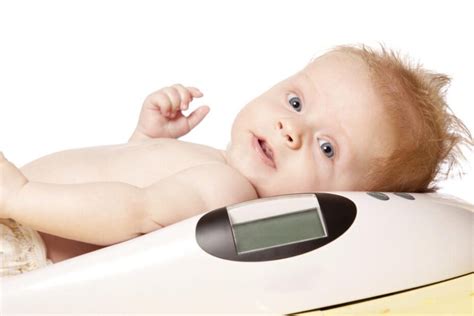 Cuál es el peso promedio de un bebé de 4 meses? | BebeBalocca