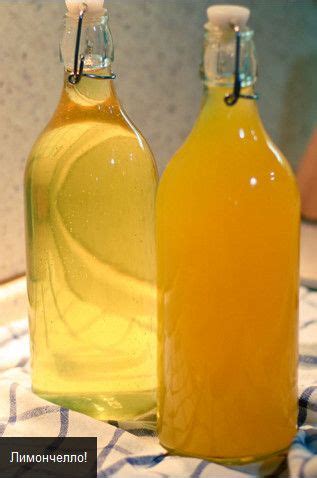 Вкусняшки из водки новогодние. «Лимончелло» и «Оранчелло» // ОПТИМИСТ ...