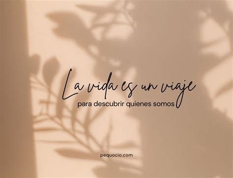 frases de la vida  inspirar  motivar pequeocio