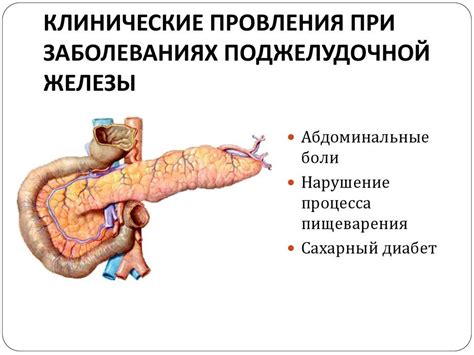 Воспаление поджелудочной железы: симптомы и лечение. диета при ...