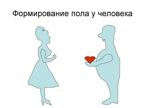 Пол и факторы его определяющие. Формирование пола у человека и его ...
