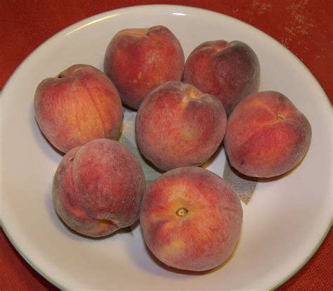 Peaches Peaches Peaches 10 Hours at Matthew Costello blog