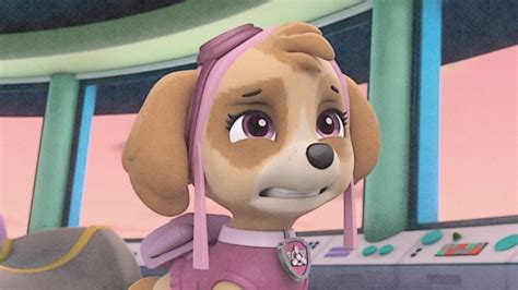 Skye - PAW Patrol Fan Art (40173015) - Fanpop