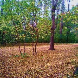 Осенняя грусть - Фото Дом Солнца. Фотография 6