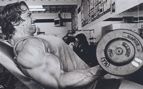 Arnold Schwarzenegger Bodybuilding, Workout Routine and Diet Plan