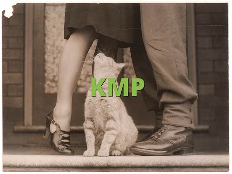 KMP Meaning » Slang term definition & example usage » Slang.org