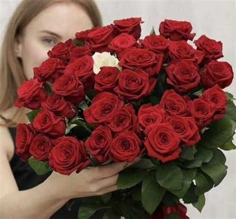 Розы 51 штука 60 см | Festima.Ru - Мониторинг объявлений