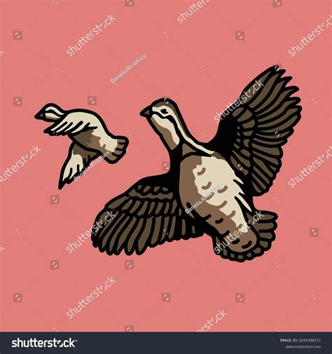 drawing quail 4