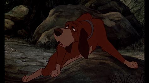 The Fox and the Hound: Screenshots - The Fox and the Hound Photo ...