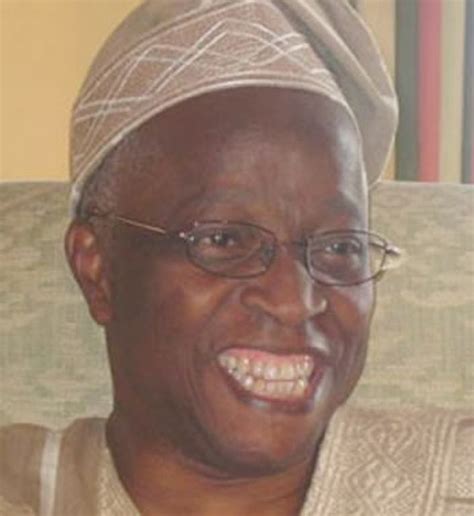 Adamolekun - Premium Times Opinion