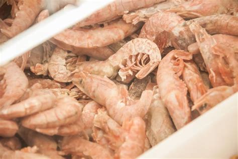 Как правильно разморозить креветки: останутся вкусными и полезными ...