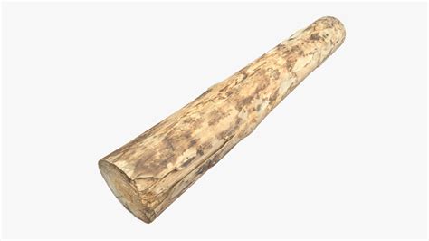 Debarked Pine Log - Buy Royalty Free 3D model by realnothing [2a356ab ...