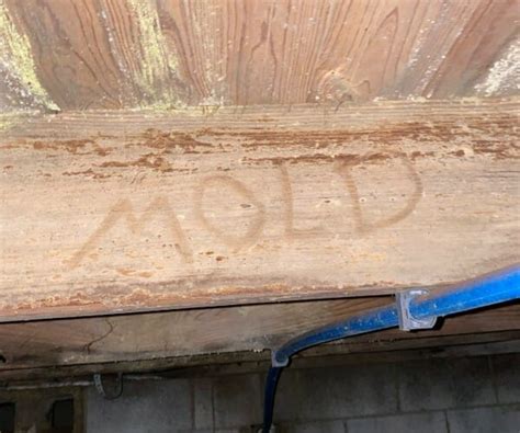 Mold Remediation Clinton, TN l Crawl Space Mold Removal
