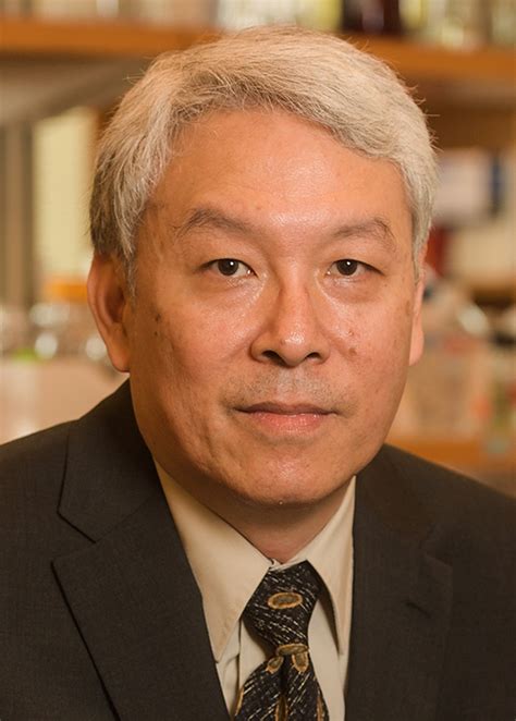 Faculty - Pharmacology and Chemical Biology | Emory School of Medicine