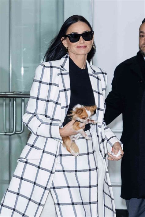 Demi Moore Matched Her Dog Pilaf's Shirt to Her Ladies-Who-Lunch Skirt Suit