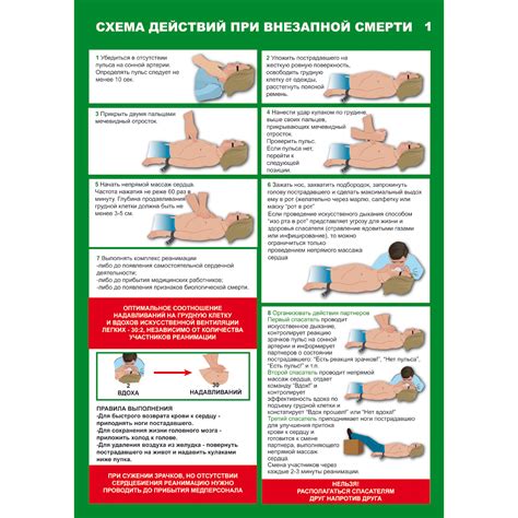 Оказание первой медицинской помощи