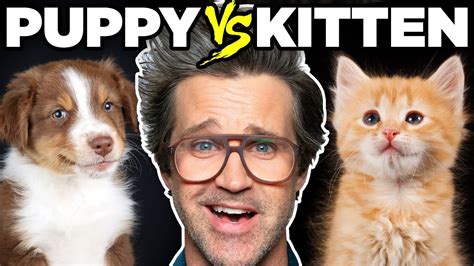 Which is Cuter? - YouTube