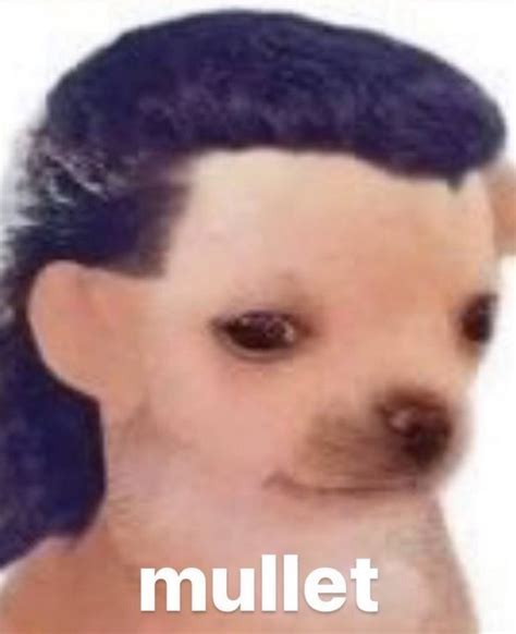 #fyp #meme #mullet | Very funny pictures, Funny horror, Funny reaction ...