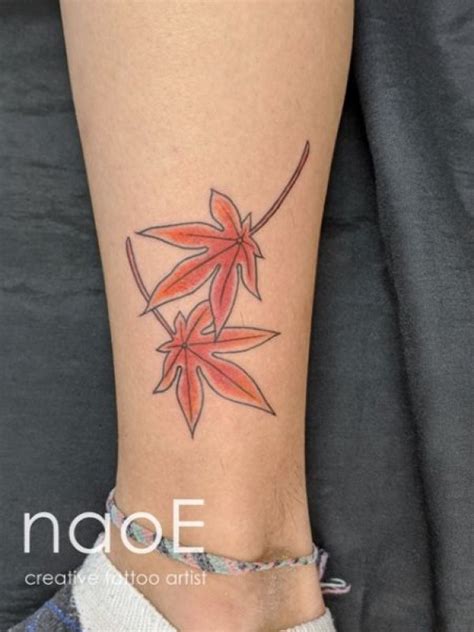 autumn leaves hojas de otono feuilles dautomne st
