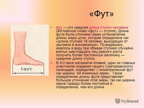 Фут