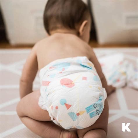 Kudos Environmentally Friendly Disposable Diapers Shark Tank Season 14