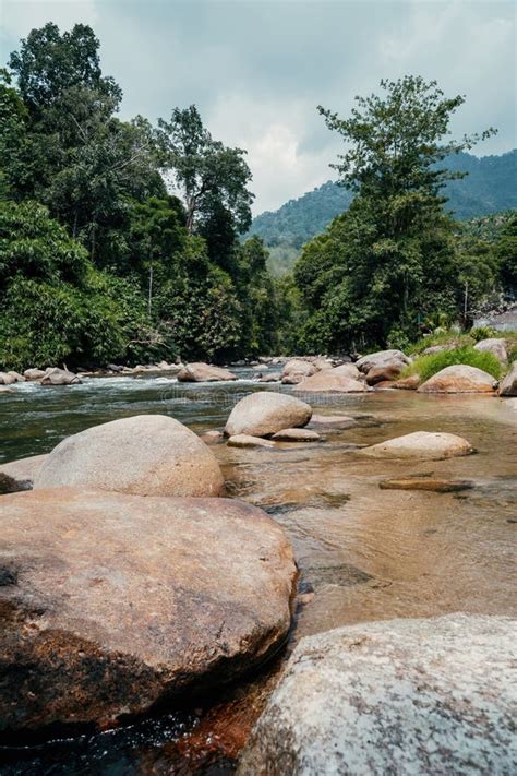 river  sungai kampar gopeng perak stock photo image  river