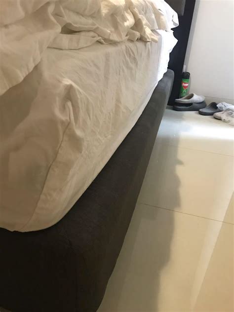 Kasur dan Dipan Informa (Full Latex Aloe Vera), Perabotan Rumah di ...