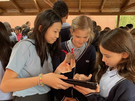 The YES project in... - British International School Budapest