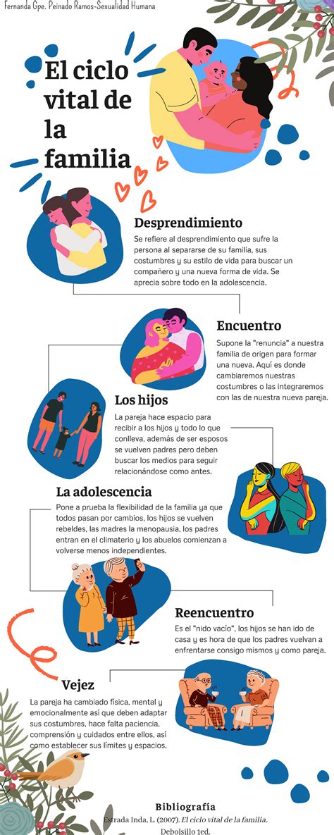 infografía de el ciclo vital de la familia - sexualidad humana - La