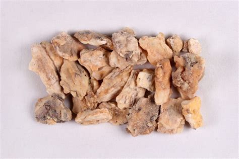 Gum Benzoin – Pt Seven Seas Agro