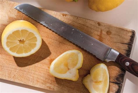 Serrated Utility Knife Uses for Perfect Cuts Every Time - HDMD Knives Blog