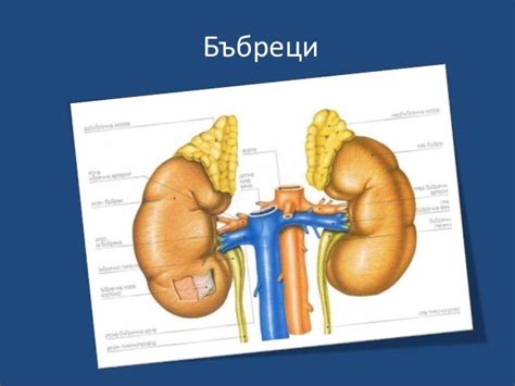 Пикочоотделителна система