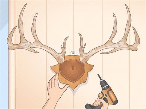 How to Mount Antlers: 13 Steps (with Pictures) - wikiHow
